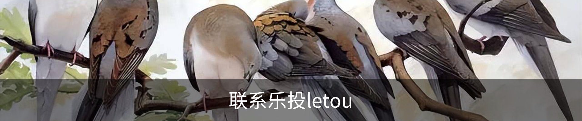 联系乐投letou
